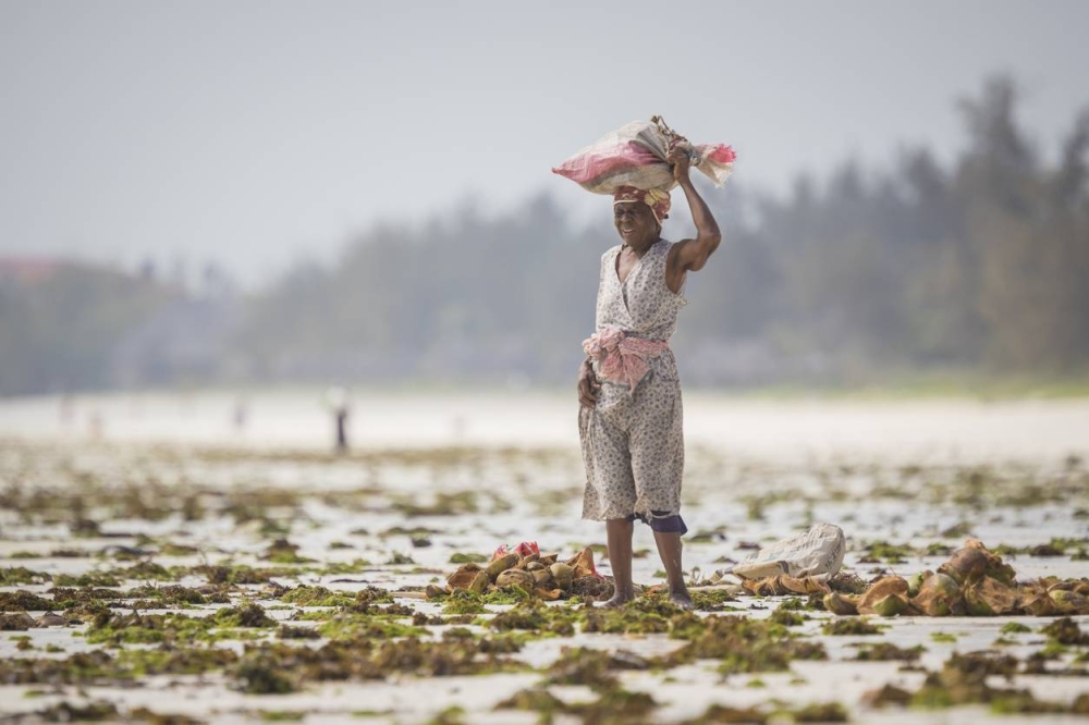Los obispos de Latinoamérica, África y Asia urgen a la COP30 a cumplir Acuerdos de París