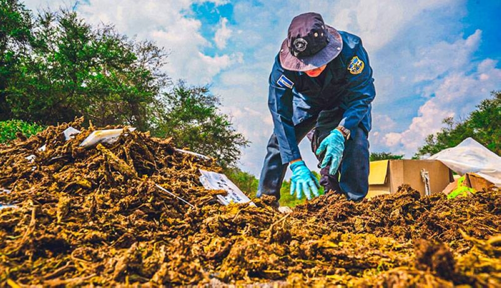 FGR destruye droga valorada en $60,820