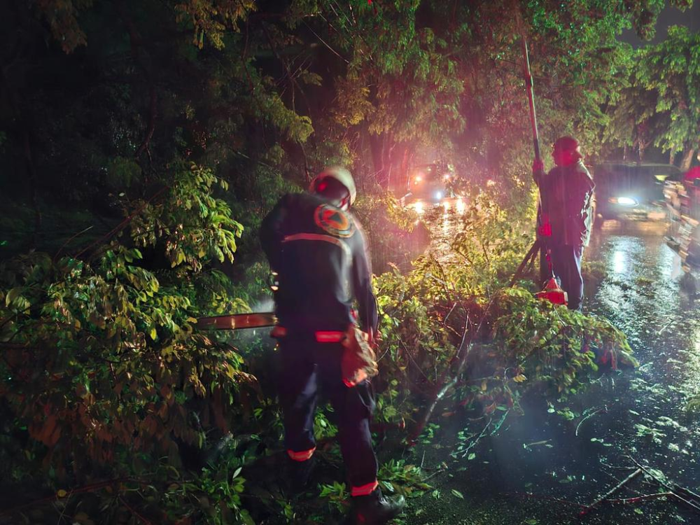 Lluvias provocaron caída de varios árboles e inundaciones en calles