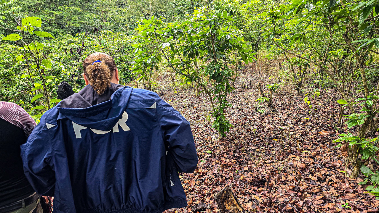 Encuentran nueve osamentas más en cementerio clandestino en Lourdes, Colón