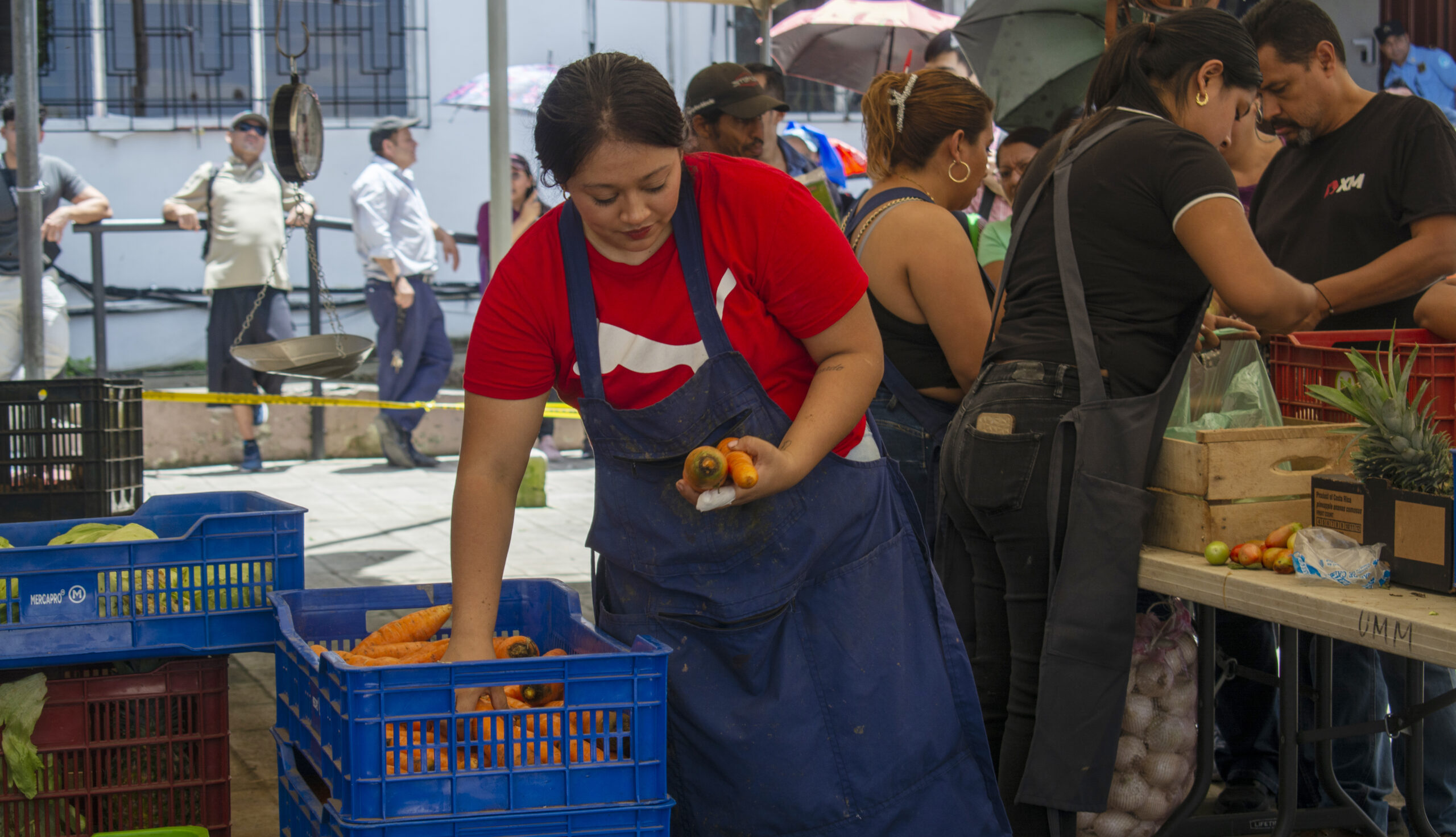 MAG registra más de 8.9 millones de visitas en los agromercados