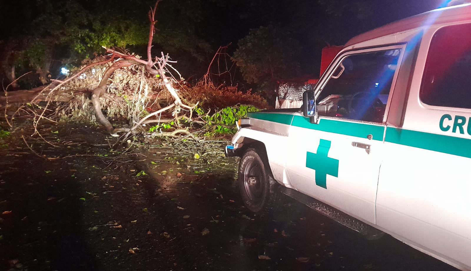Lluvias de últimas horas dejan un fallecido, una decena de árboles caídos y daños en vehículos