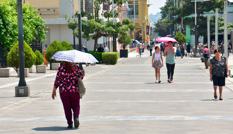 El periodo de canícula dio inicio esta semana. / DEM