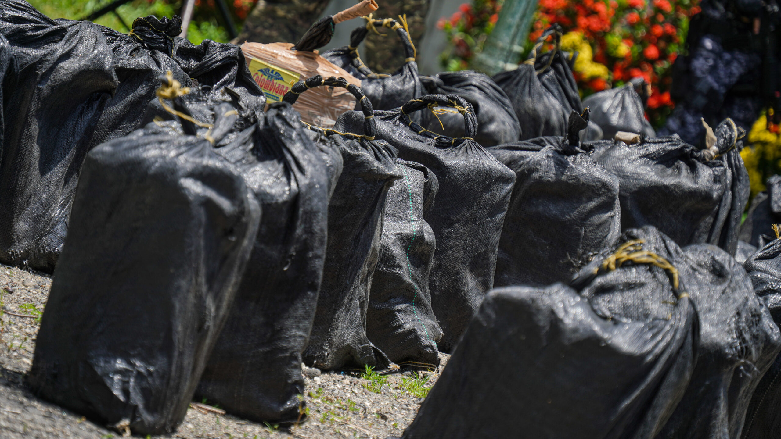 FAES ha incautado 69 toneladas de droga en la administración Bukele