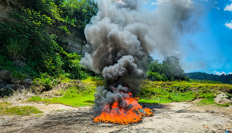 Autoridades destruyen droga valorada en más de $21,000