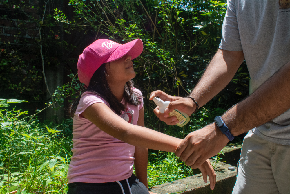 Estas son seis maneras de alejar a los zancudos transmisores del dengue en su casa