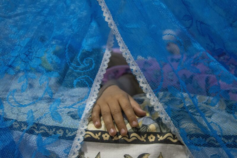 Más de 2,870 casos sospechosos de dengue han sido detectados en menores y adultos jóvenes hasta agosto