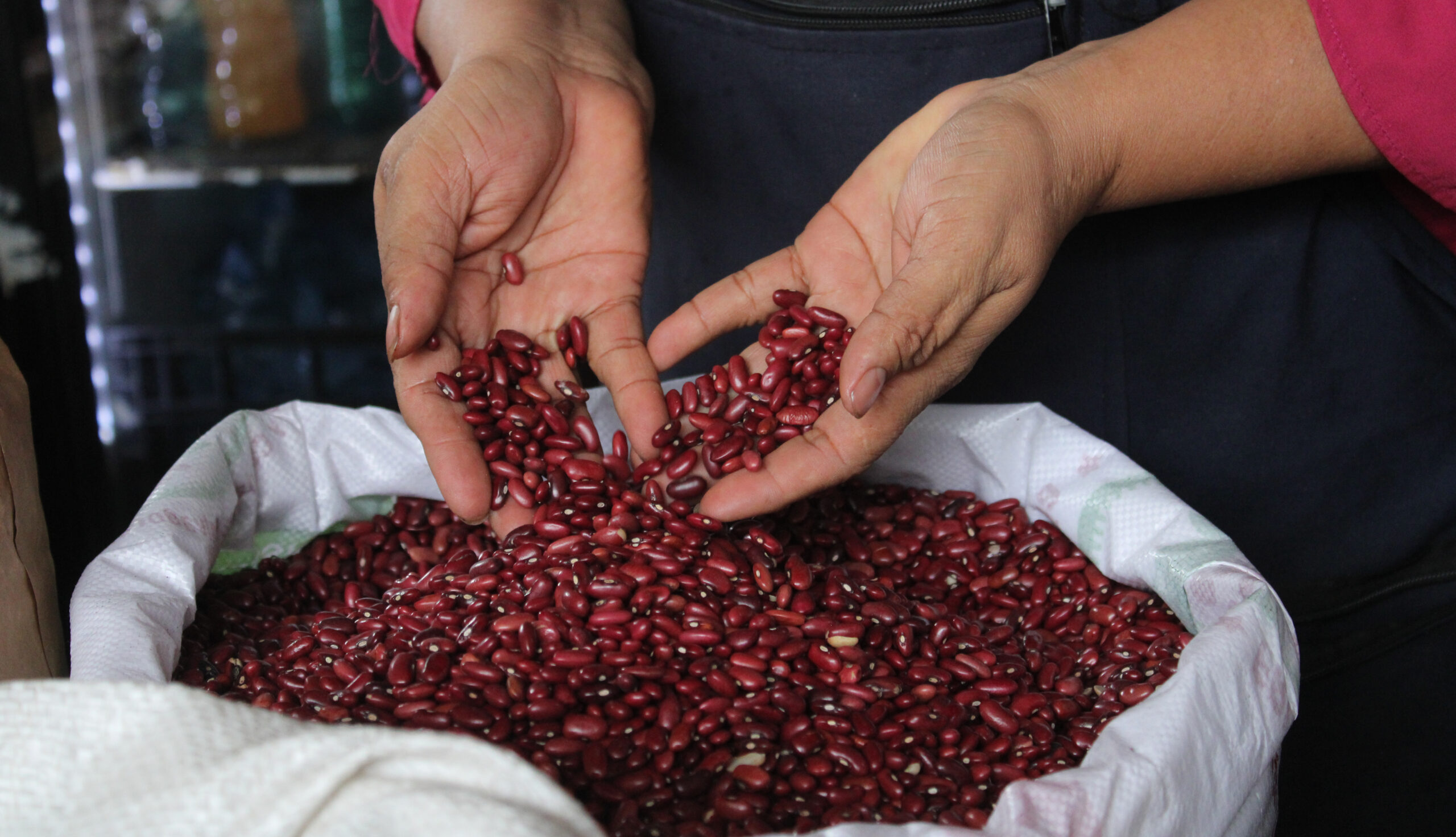 Cada salvadoreño consume un promedio de 39.6 libras de frijoles por año, según Campo