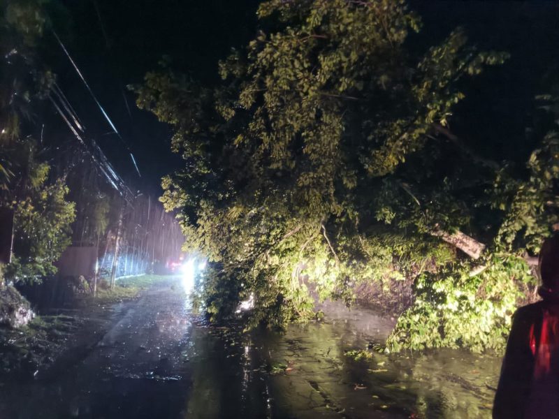 Marn prevé inundaciones urbanas, caída de ramas y deslizamientos hasta el viernes