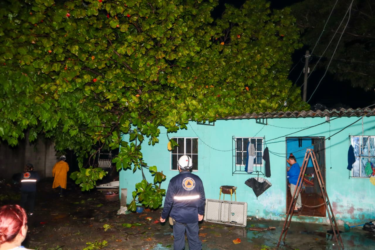 Lluvias del lunes provocaron caída de árboles sobre viviendas y vehículos, y derrumbes en varias zonas del país