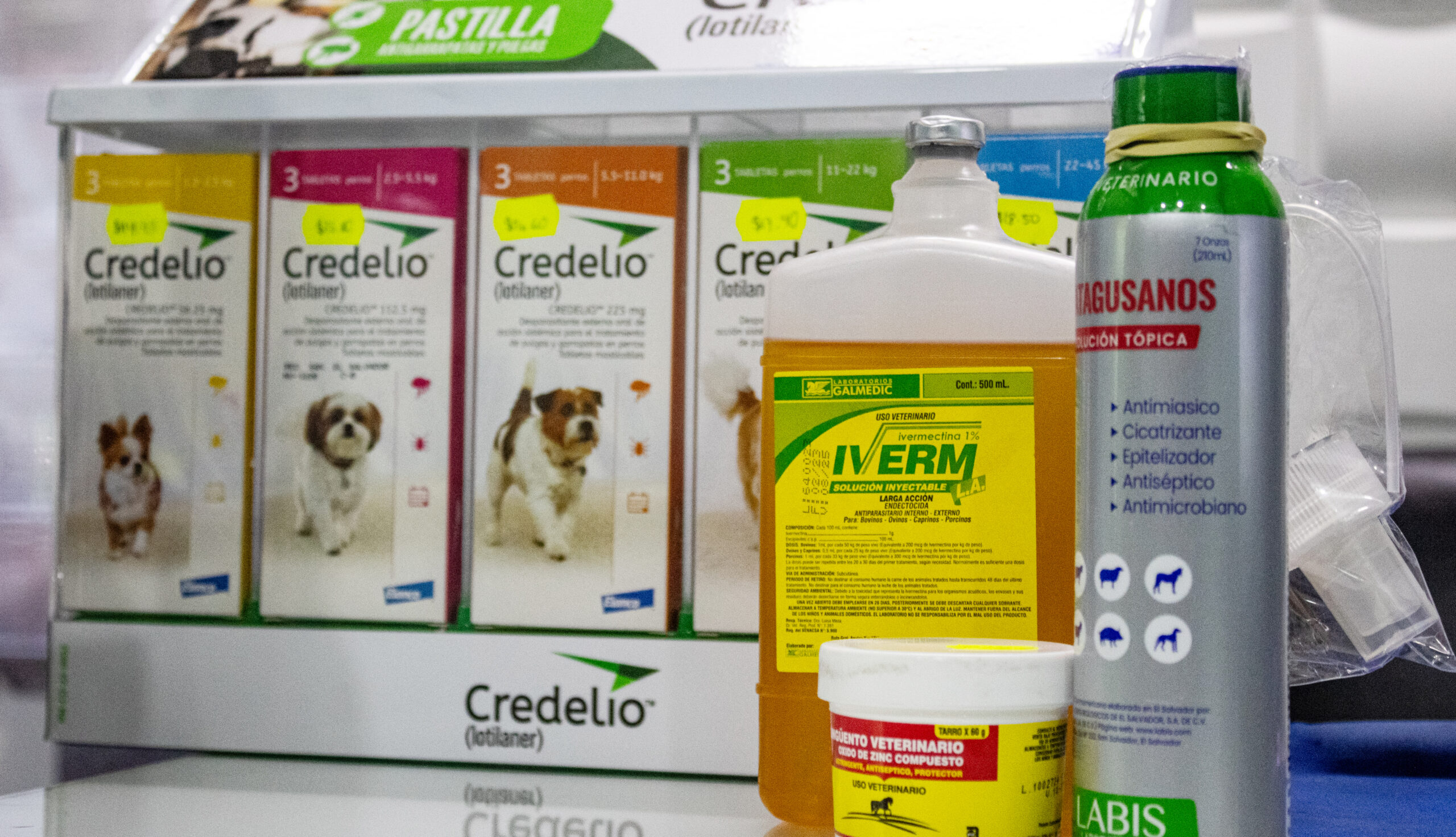 De $2.50 a $30: estos son los medicamentos para combatir el gusano barrenador en mascotas