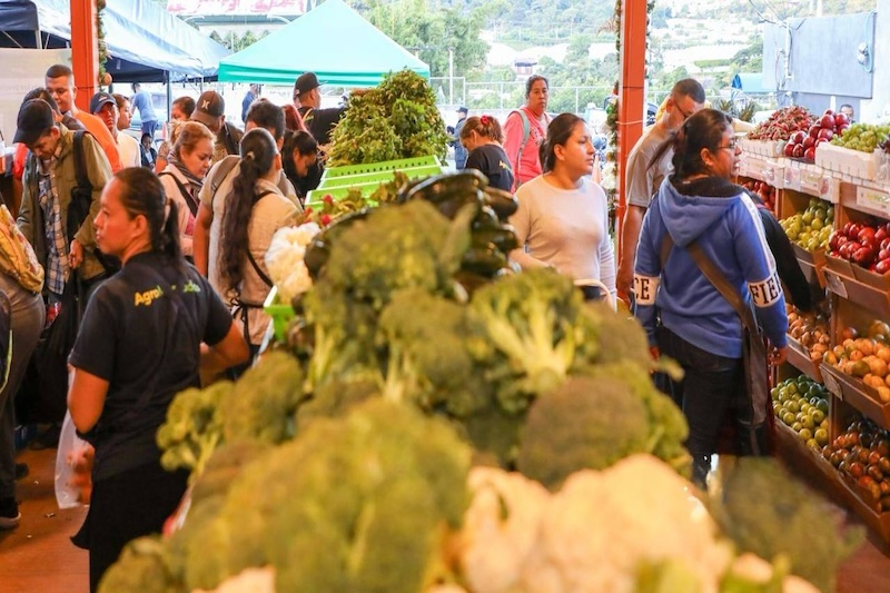 MAG presupuesta $52.9 millones para agromercados y centrales de abasto en 2026