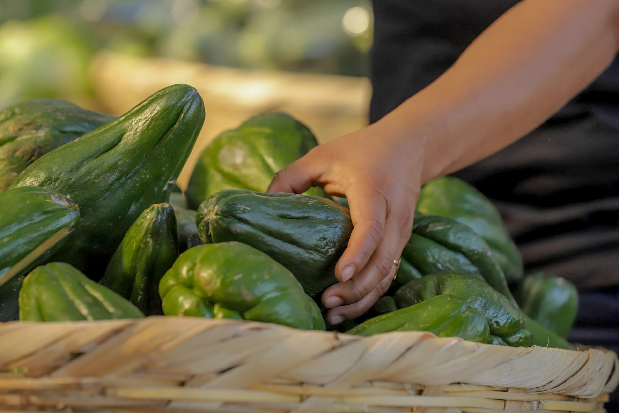 Las tortillas y los güisquiles fueron los que más subieron de precio en junio