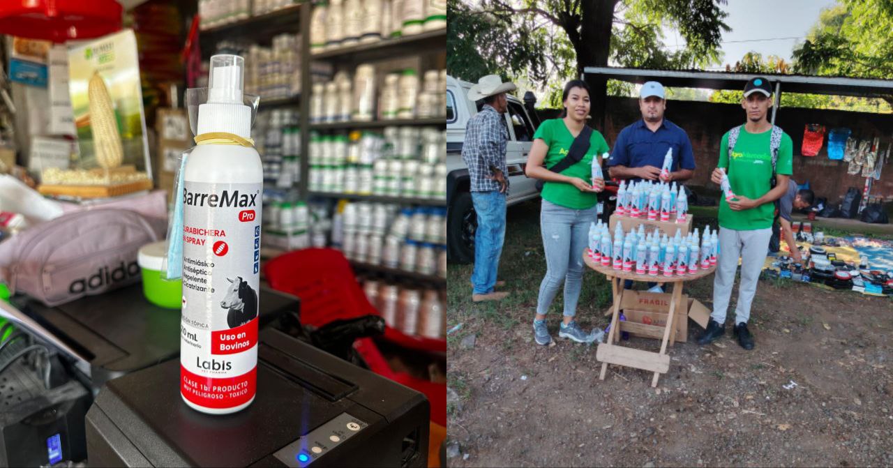 En agosto iniciará fabricación de spray mata gusano barrenador para perritos