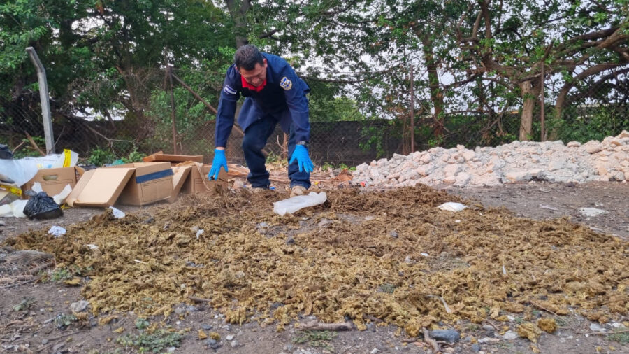 Destruyen cocaína valorada en más de $26,000 decomisada en oriente del país