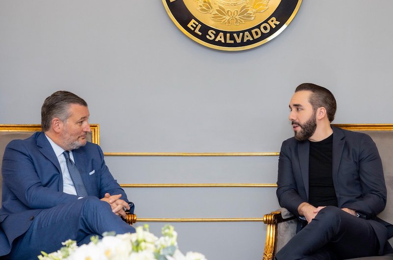 Senador de EEUU y Bukele discuten sobre las «tácticas antiterroristas” aplicadas en El Salvador