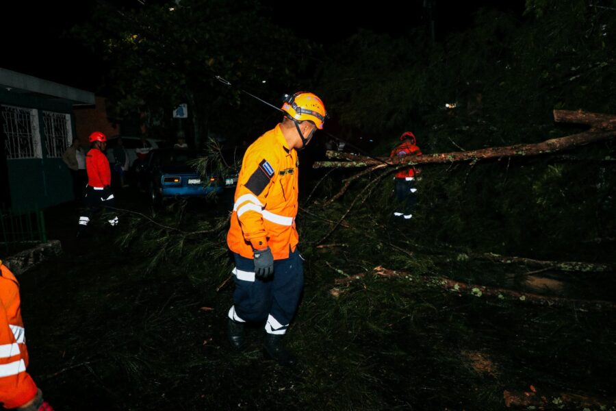 Lluvias del jueves provocan caída de árboles en zona norte y central del país
