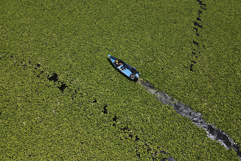 Planta acuática que cubre al lago Suchitlán afecta a pescadores y restaurantes