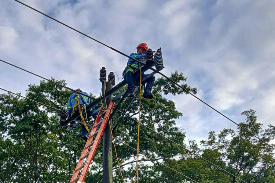 Árbol caído dañó dos postes de energía eléctrica en planta potabilizadora Torogoz