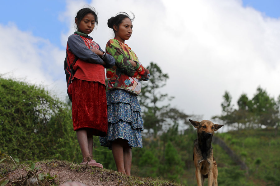 ONU pide a Honduras garantizar el territorio y la consulta previa a los pueblos indígenas