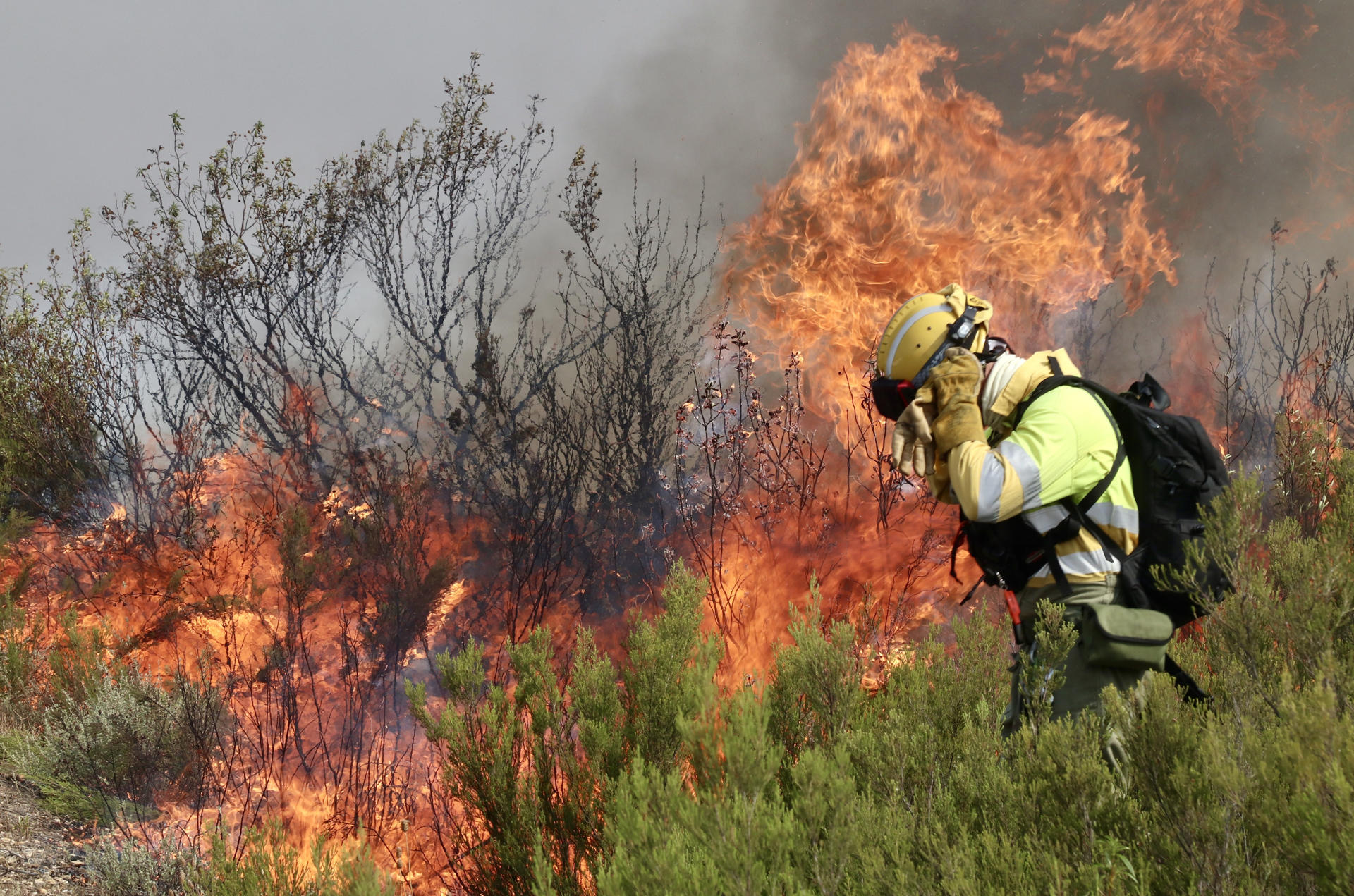 Un muerto en Madrid y miles de evacuados en toda España en una trágica oleada de incendios