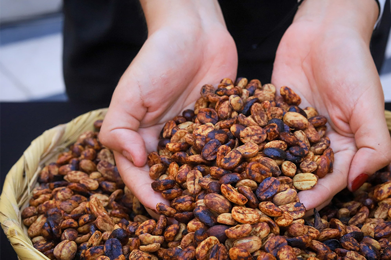 Las exportaciones de café superan los $137.5 millones a julio, su nivel más alto en 3 años