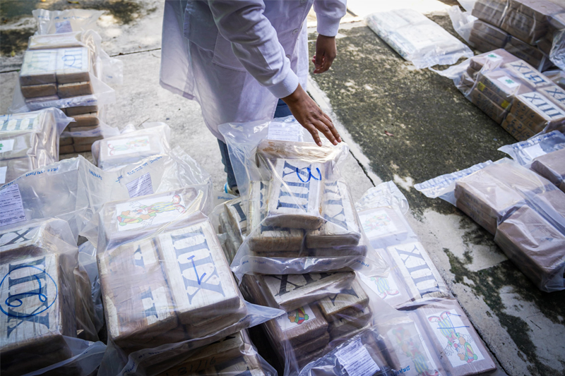 FGR destruye 430 kilogramos de droga valorada en más de $10 millones