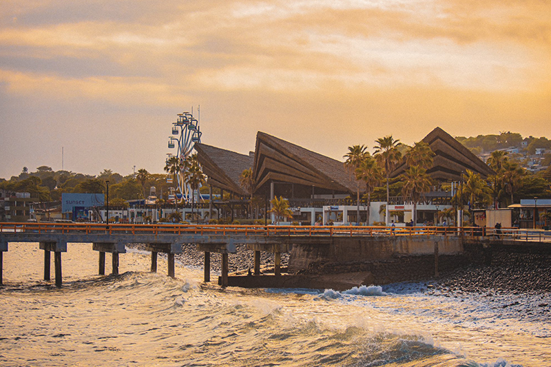 Estas son las actividades y conciertos al aire libre para este sábado