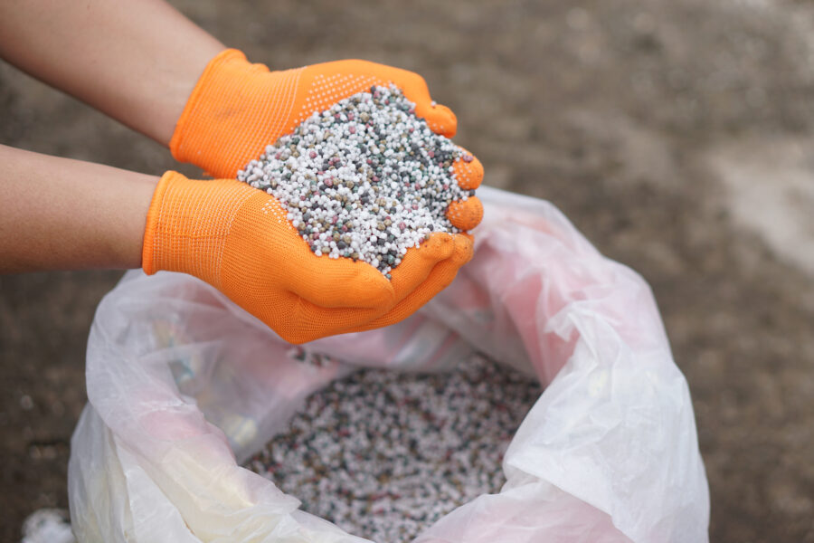 La invasión rusa a Ucrania sigue impactando el precio de los insumos agrícolas en El Salvador, dice gremial Campo