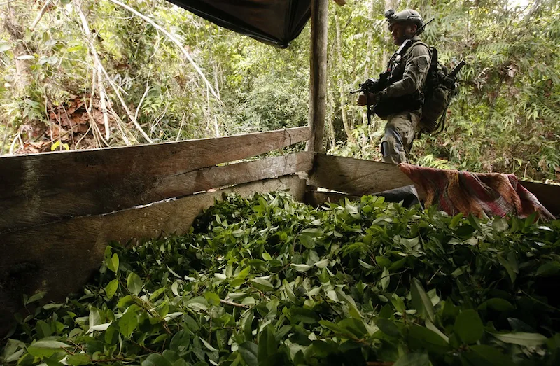 EEUU elimina a Colombia de lista de países que combaten al narcotráfico