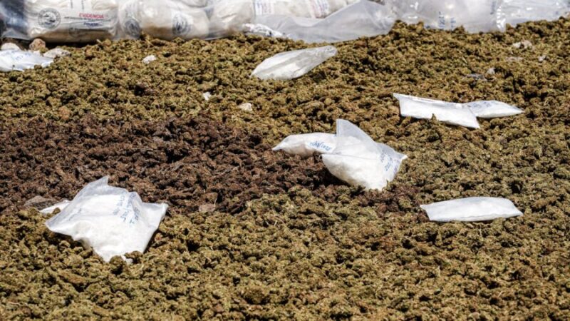 PNC confiscó droga valorada en más de $606 millones durante el último año