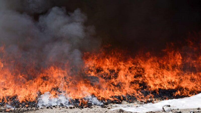 Autoridades queman droga decomisada en San Salvador, Santa Ana y Sonsonate durante 27 casos