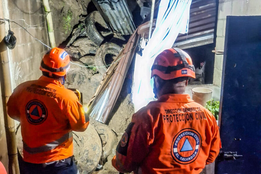 Lluvias del viernes dejaron varios árboles caídos y un muro colapsado en Mejicanos