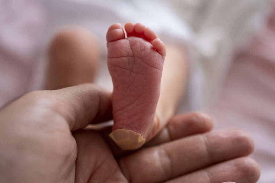 Solo 2 % de los tamizajes neonatales dan positivo a anomalías metabólicas, cardíacas, auditivas y de cadera