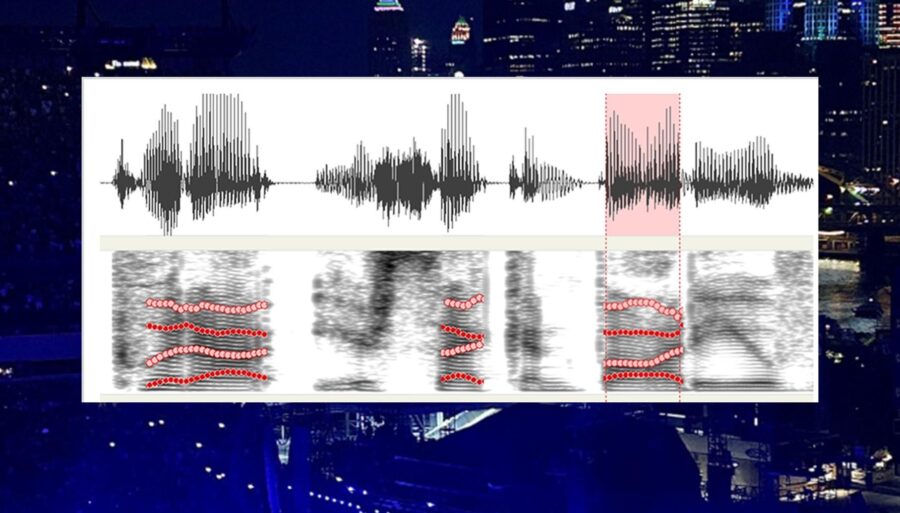 Taylor Swift, una herramienta para estudiar la evolución de los patrones del habla
