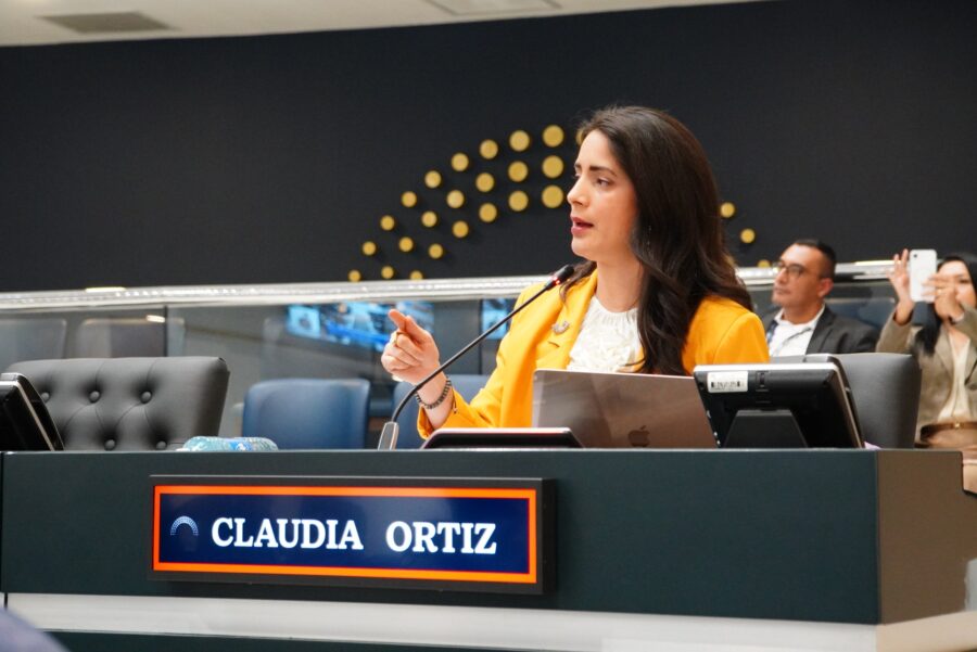 Claudia Ortiz propone subsidio de $81.76 para personas cuidadoras, Nuevas Ideas no apoyó