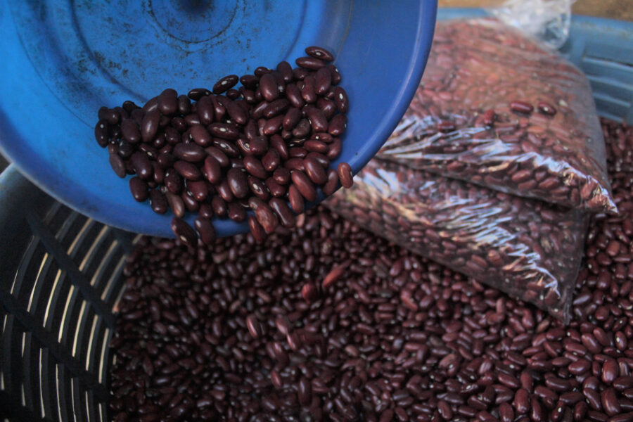 El Salvador mantuvo los niveles inflacionarios más bajos de Centroamérica en septiembre