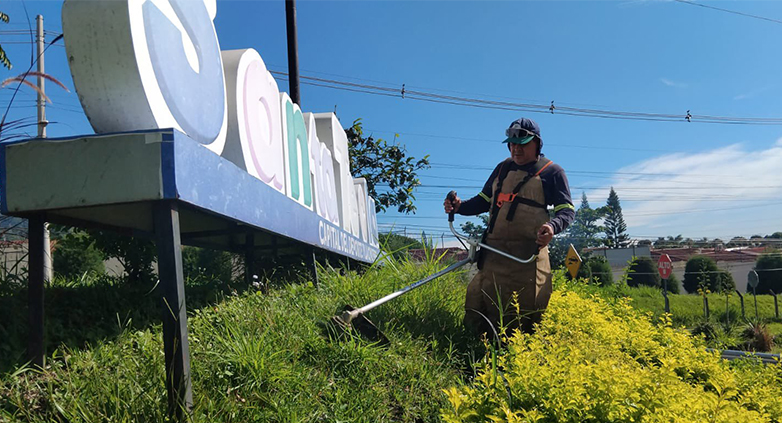 Alcaldía paga casi $250,000 mensuales a Teclaseo por servicio de recolección de basura