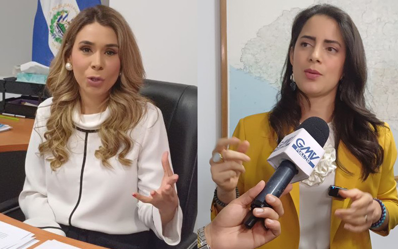 Oposición cuestiona falta de claridad en reforma de ANDRES para fijar precios por productos y servicios