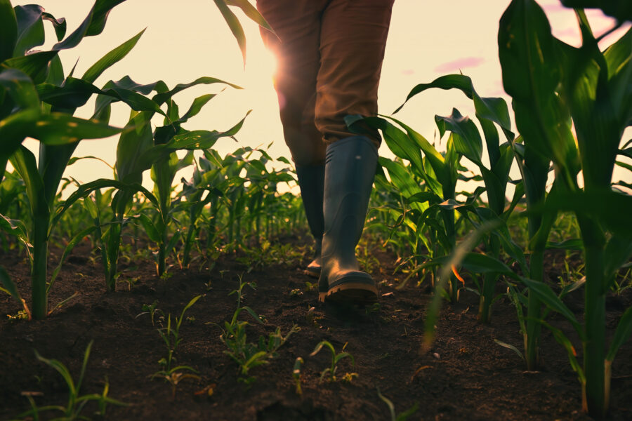 Lanzan centro para impulsar las mipymes agroindustriales en Centroamérica