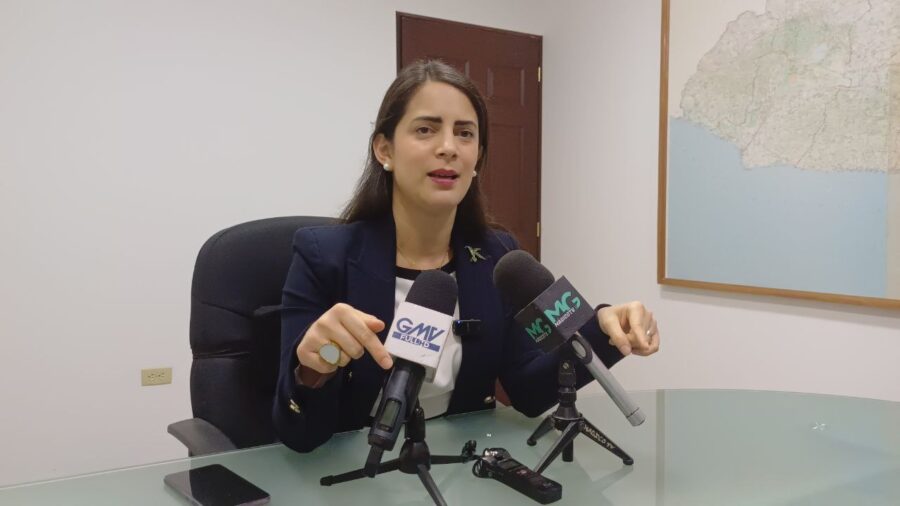 Claudia Ortiz: «Una reforma de pensiones da para hacer un referéndum»