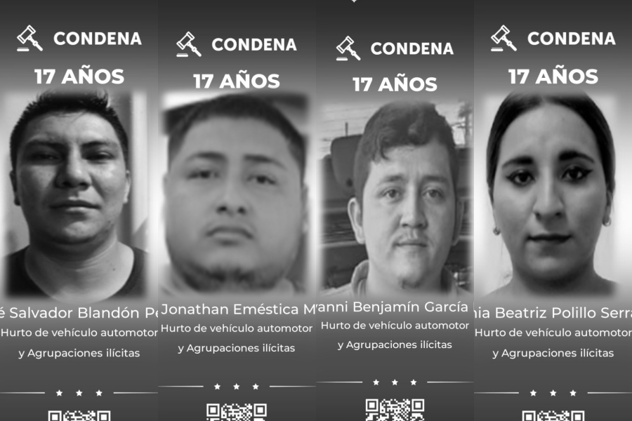 Tres hombres y una mujer condenados a 17 años por hurto de vehículos