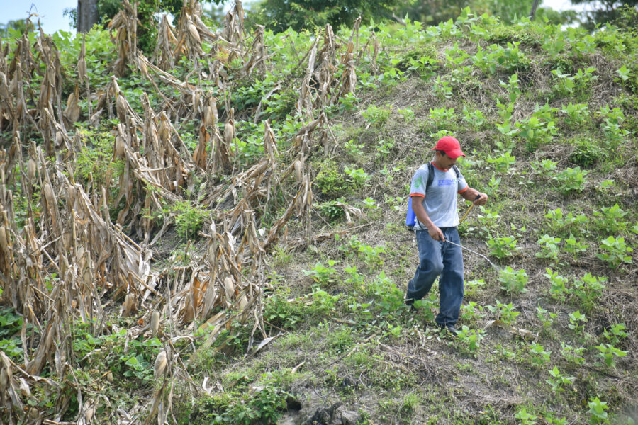 Venta de tierras agrícolas para proyectos inmobiliarios cobra fuerza en El Salvador