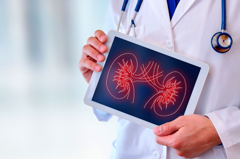 La enfermedad renal crónica es la novena causa principal de muerte en el mundo