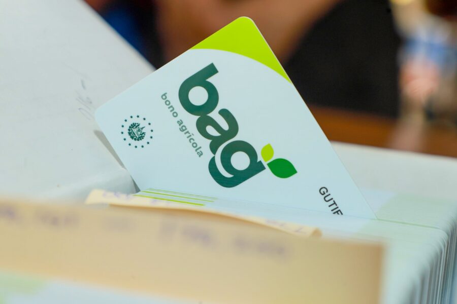 Fews Net: sustitución de paquetes agrícolas por tarjeta disminuyó incentivos de siembra