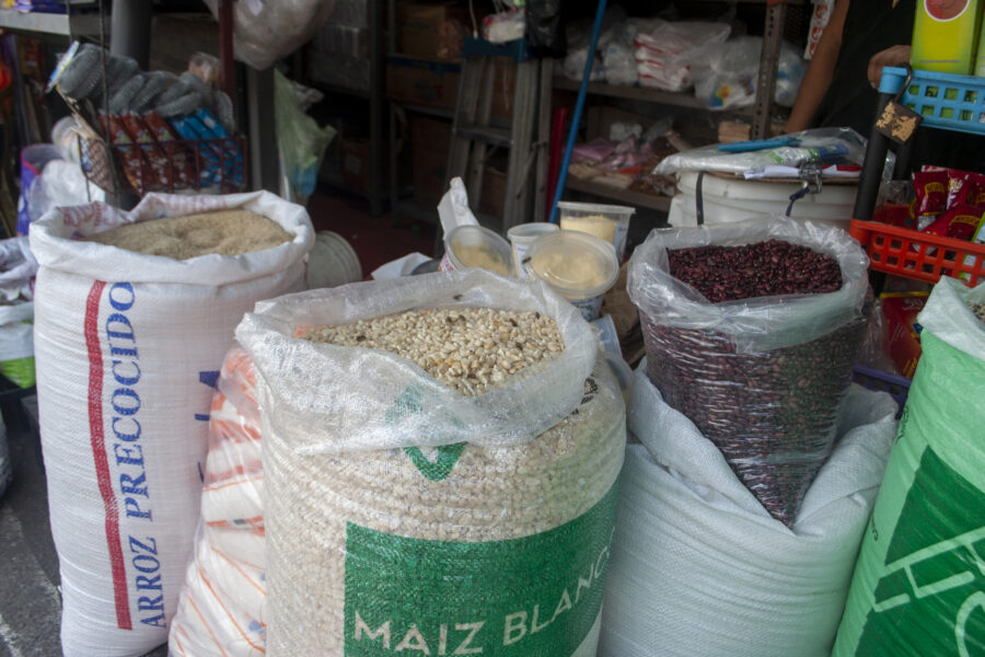 Importaciones de maíz blanco en El Salvador caen a su nivel más bajo en cuatro años