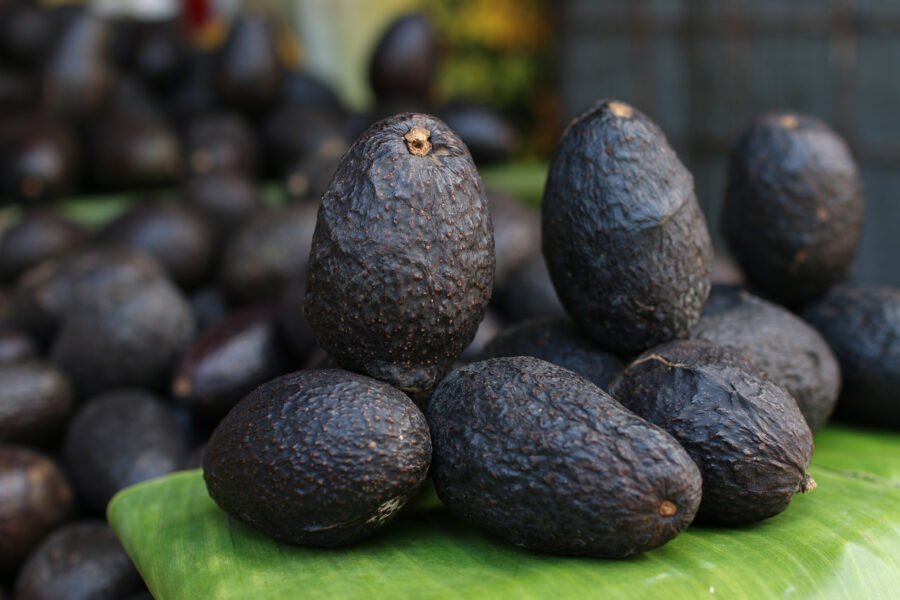 El perejil y el aguacate criollo incrementaron hasta un 63 % en dos meses, confirma la Defensoría