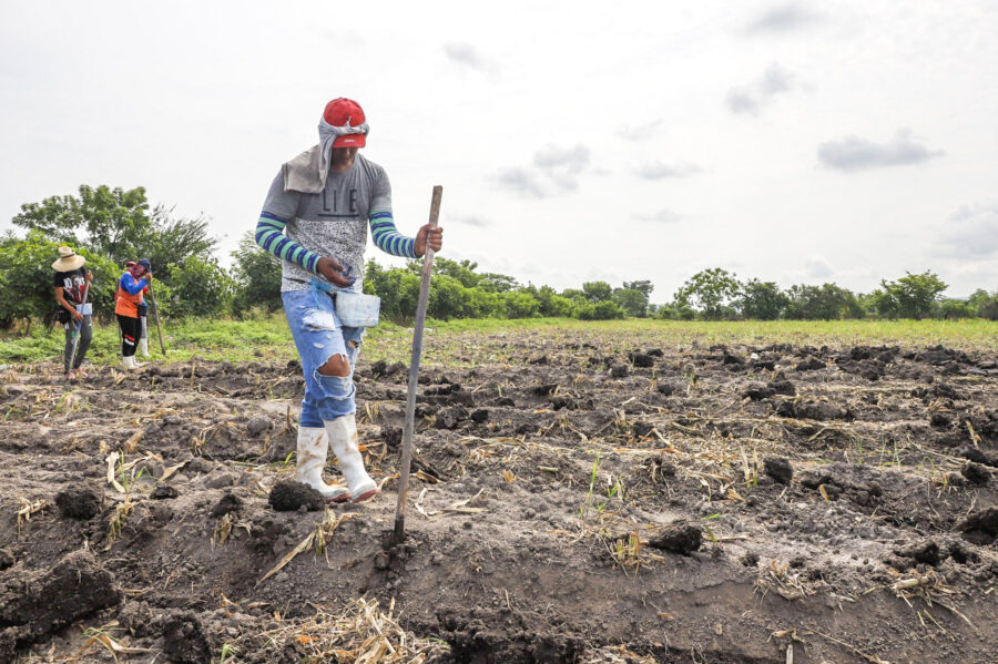 Fews Net prevé que lluvias y temperaturas promedio respalden el inicio de la siembra del ciclo 2026-2027