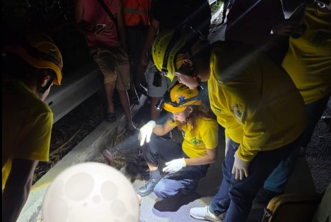 Un hombre muere atropellado y otros dos resultaron lesionados en accidentes de tránsito en las últimas horas