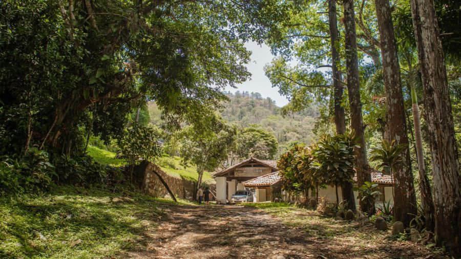Temperatura mínima llegó a 6.5 grados en Planes de Montecristo este martes
